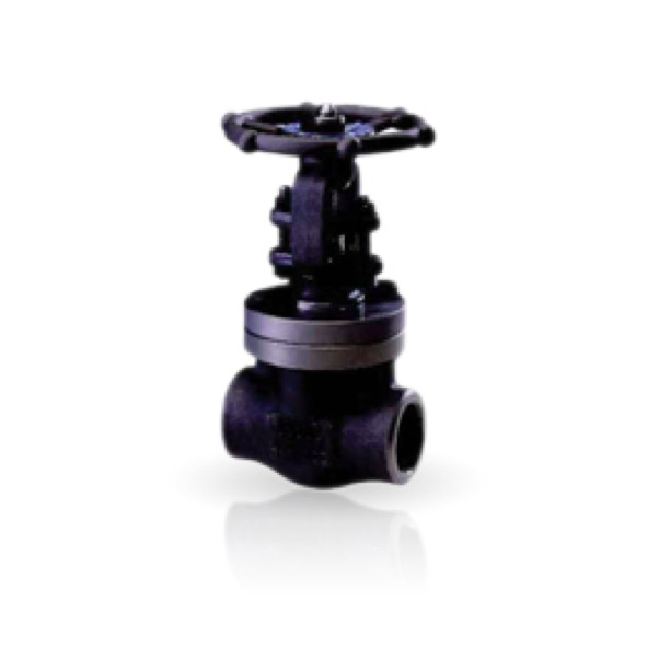 Valvula-Compuerta-Forjada-gate-BFE